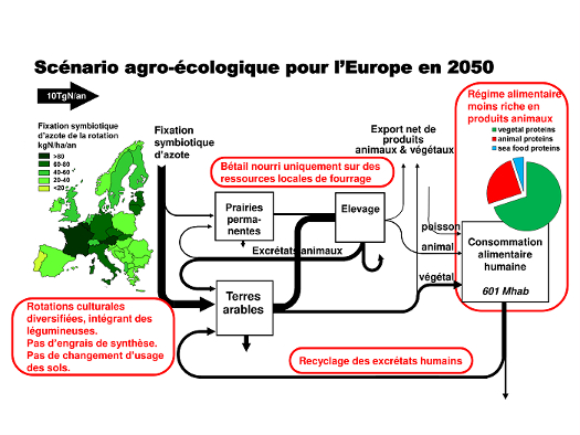 Schéma du scénario agro-écologique qui serait possible en 2050